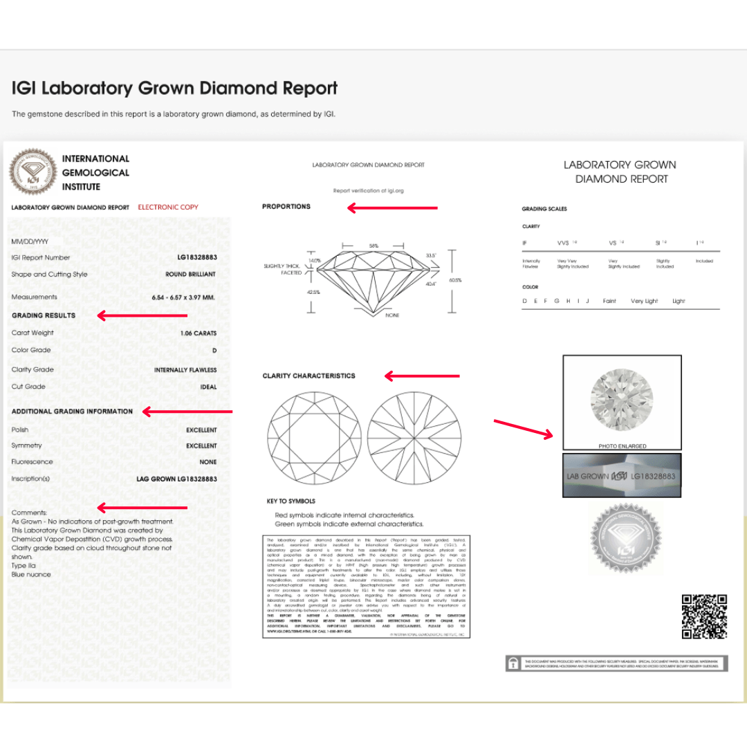 How to read an IGI report? - Leonids
