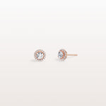 Halo Brilliant Round Lab Grown Diamond Studs - Earrings