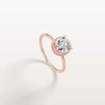 Hidden Halo 1CT Round Lab Diamond Ring With Basket Setting - Rings