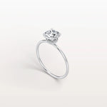 1CT Round Lab Grown Diamond Double Hidden Halo Ring - Rings