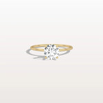 1CT Round Lab Grown Diamond Double Hidden Halo Ring - Rings